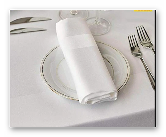 Egyptian White Satin Band Napkin
